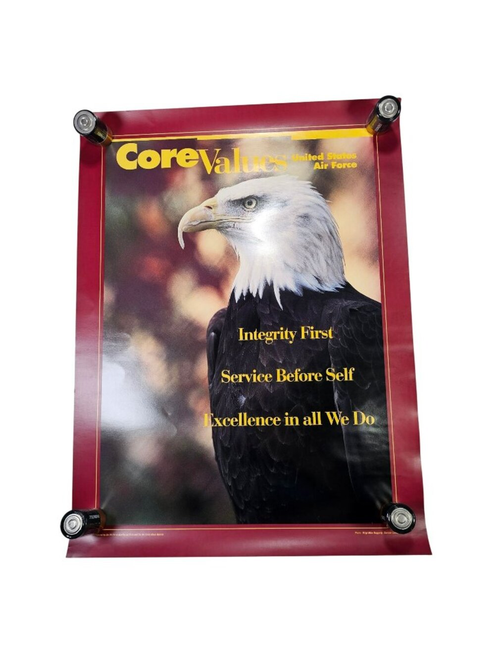 United States Air Force Core Values Motivational Poster Bald Eagle 18x24" USAF
